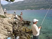 Veslanje - Velolučka Ragata